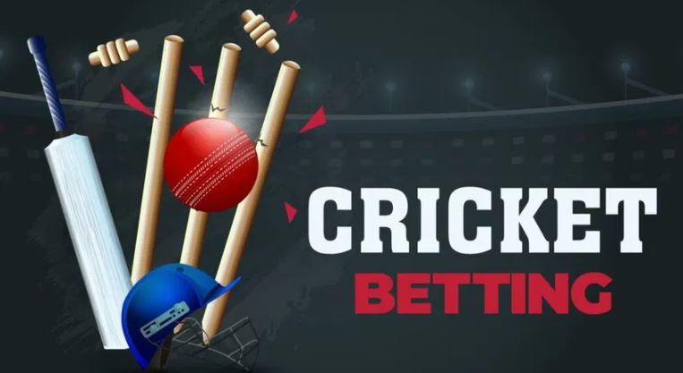 24 betting cricket